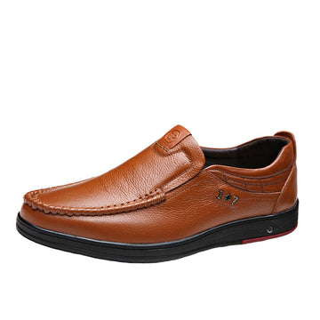 Men's Angelo Loafer Shoe